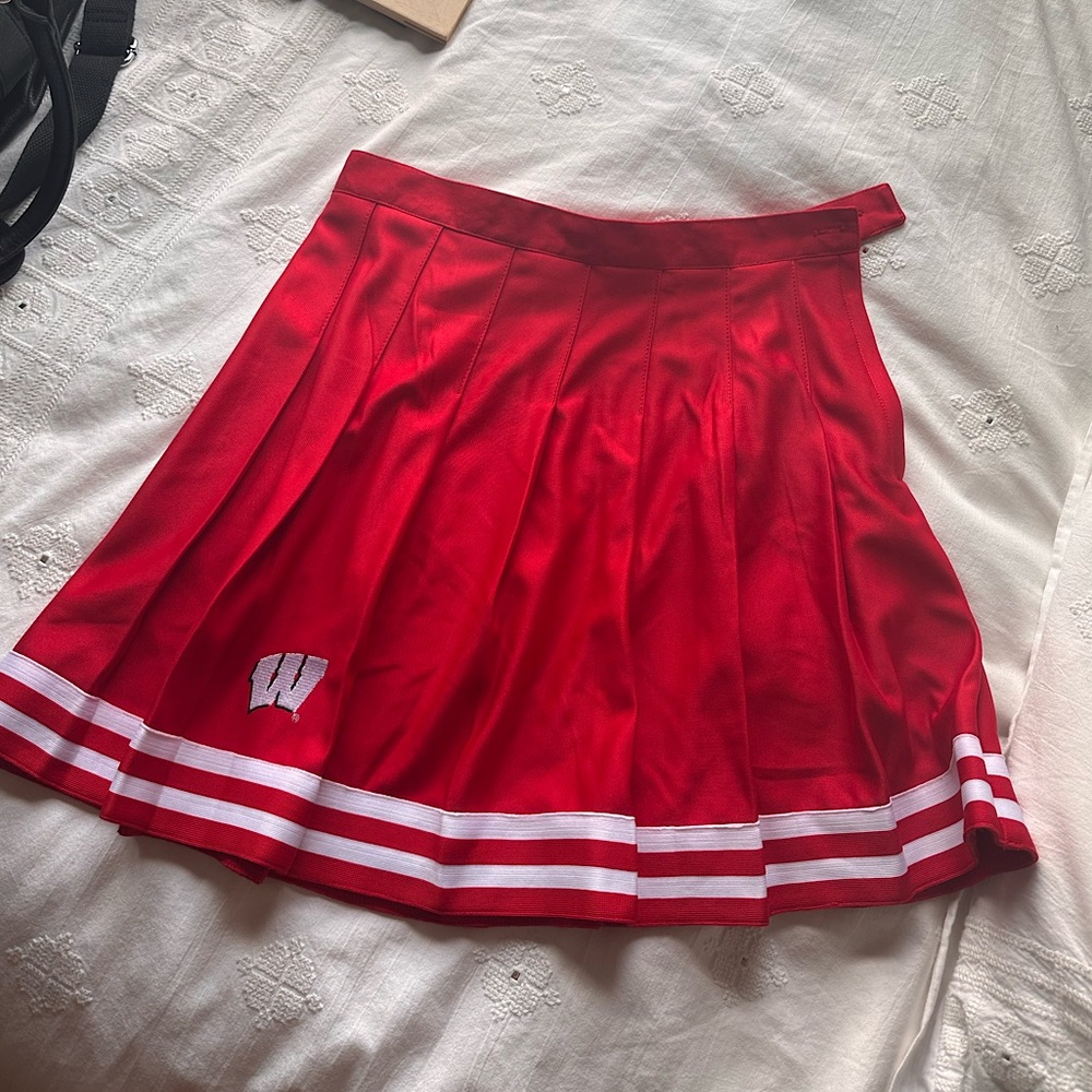 Wisconsin Badger Tailgate Skirt